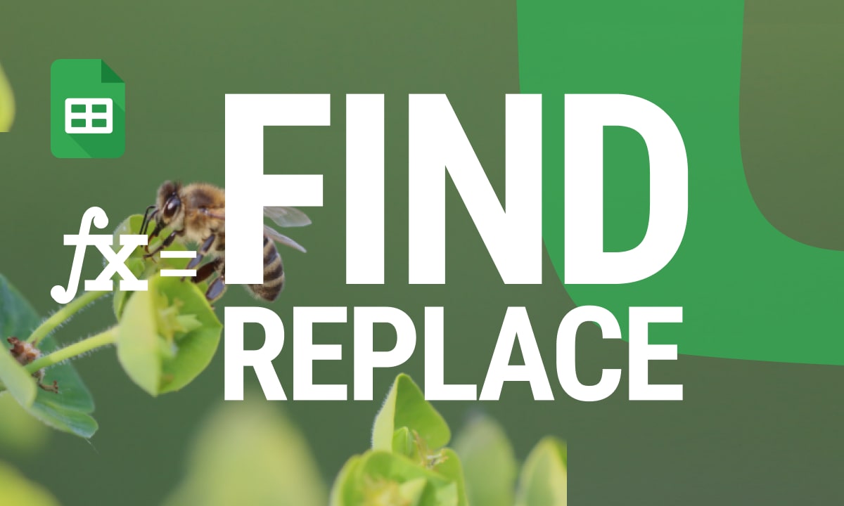 How to Effectively Use Find and Replace in Google Sheets