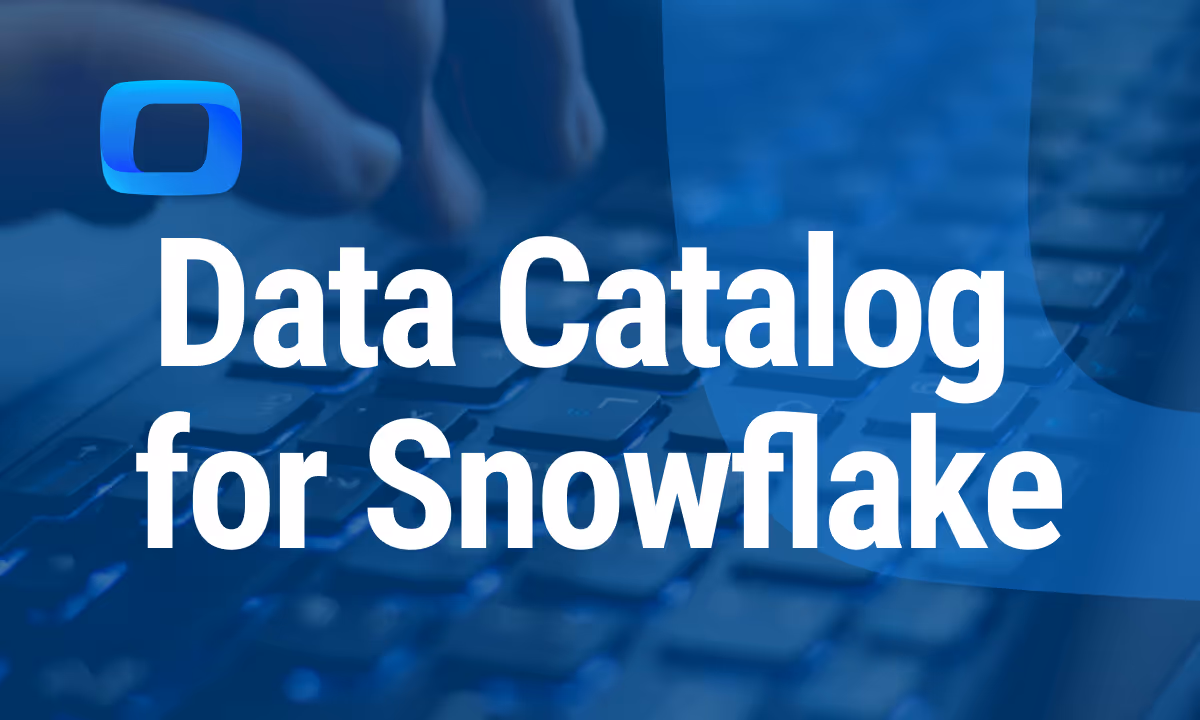What Is a Data Catalog for Snowflake?