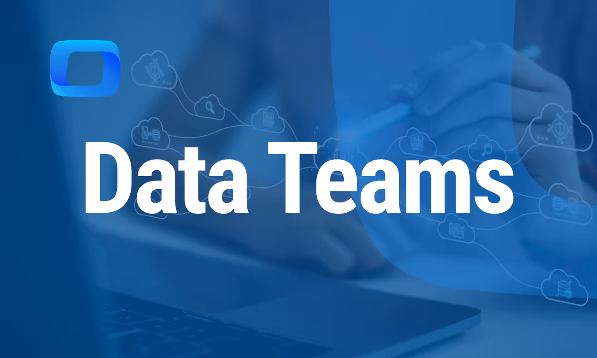 What Are Data Teams?