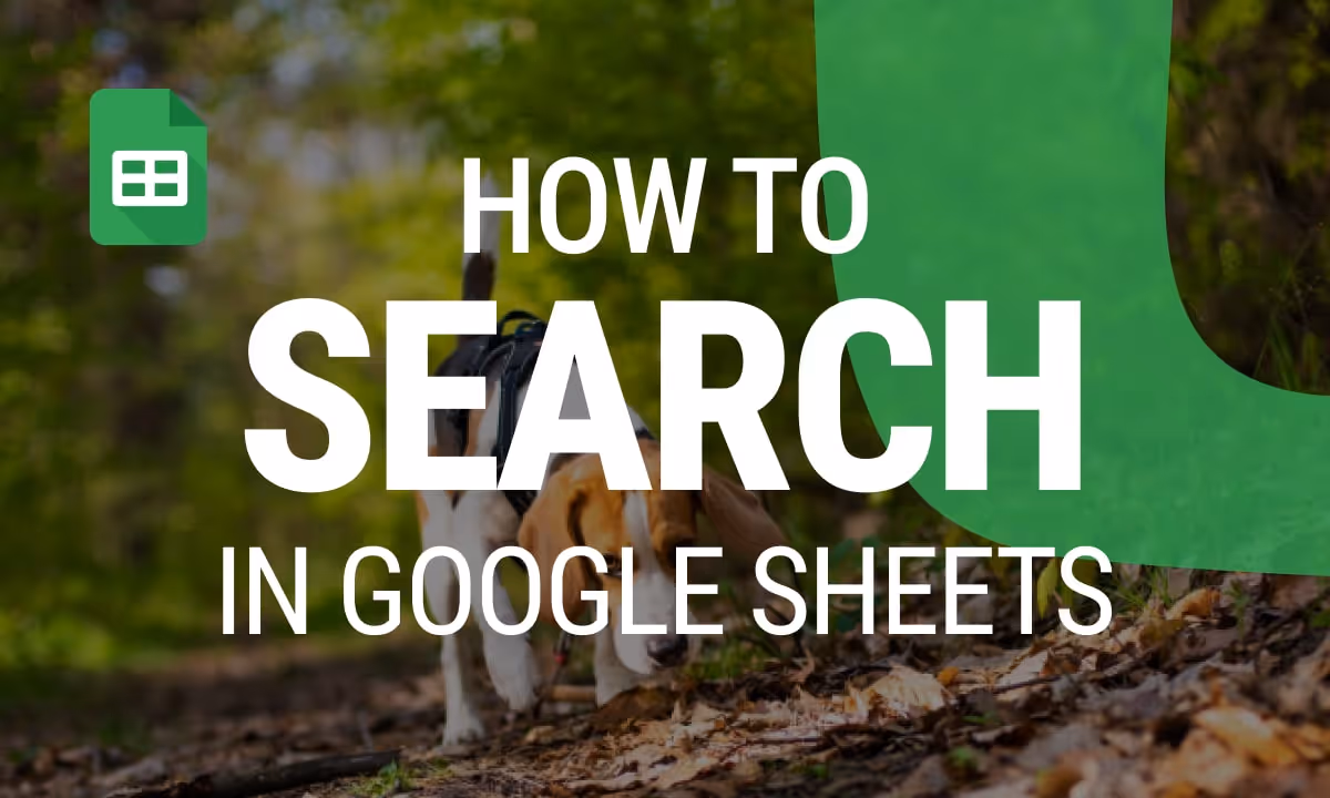 How to Search in Google Sheets: Tips and Shortcuts