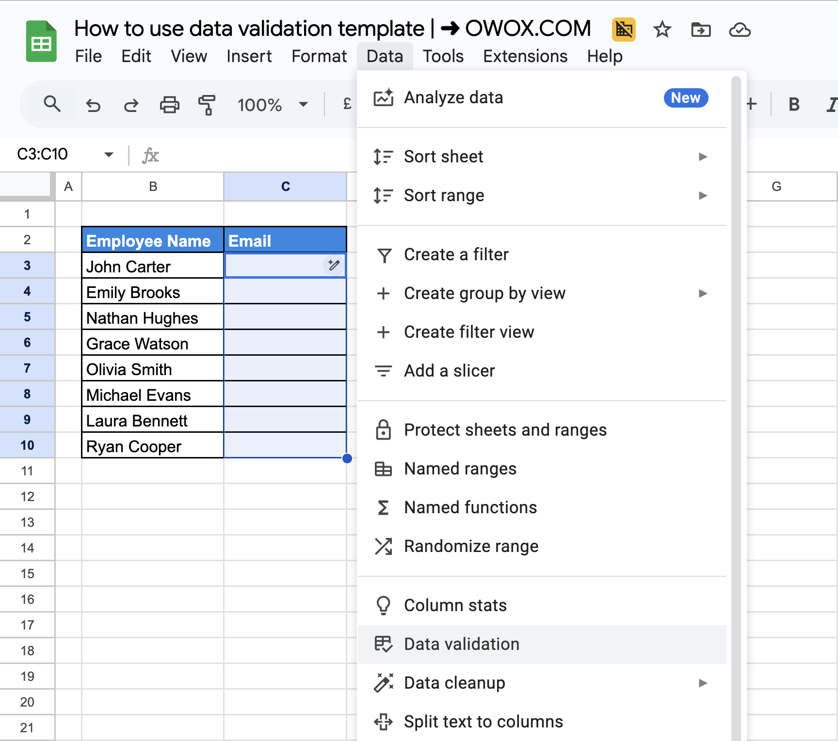 Google Sheets data validation option selected to apply email format rule in the Email column. i-border