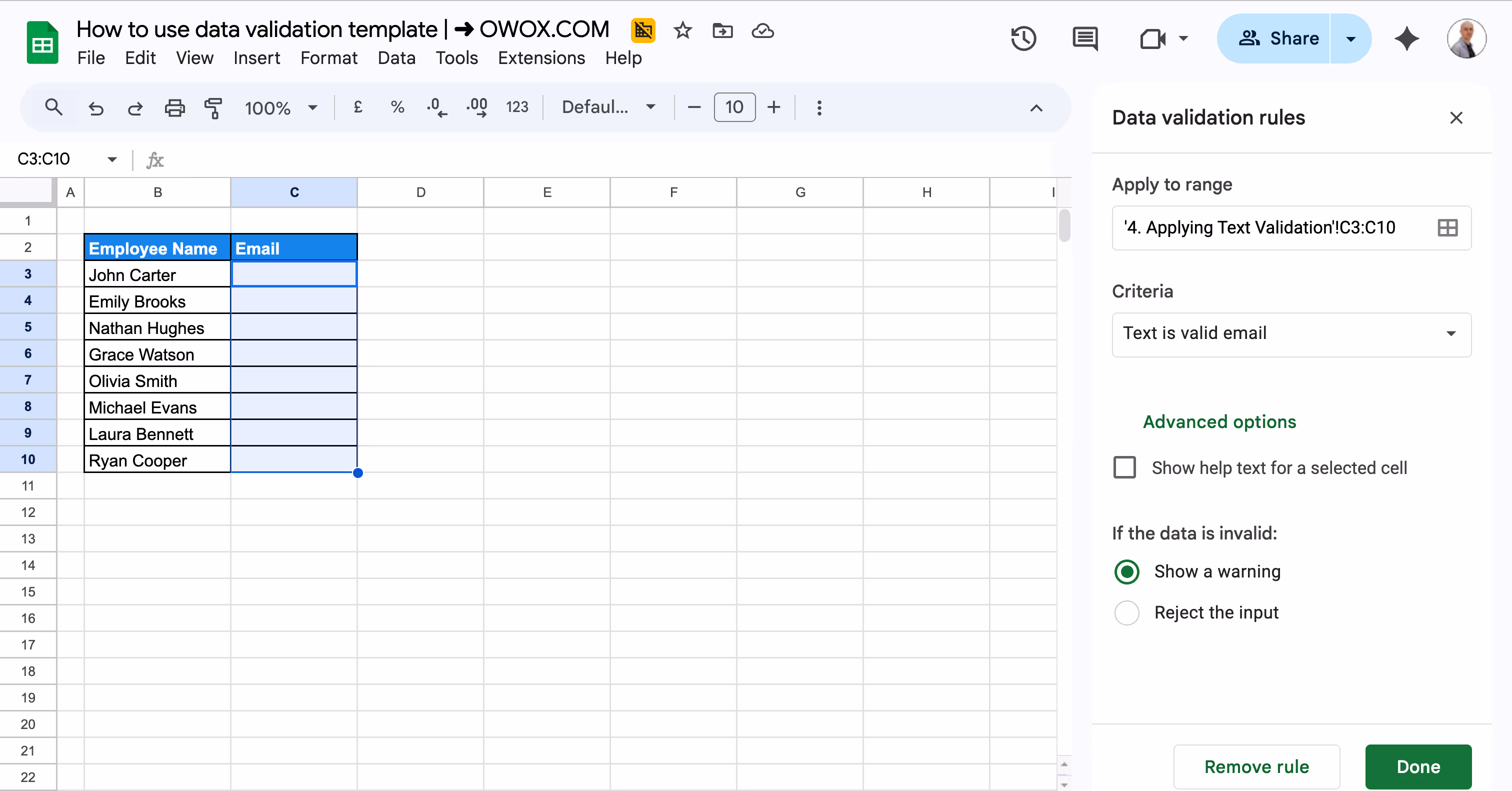 Data validation criteria in Google Sheets set to allow only valid email addresses. i-border