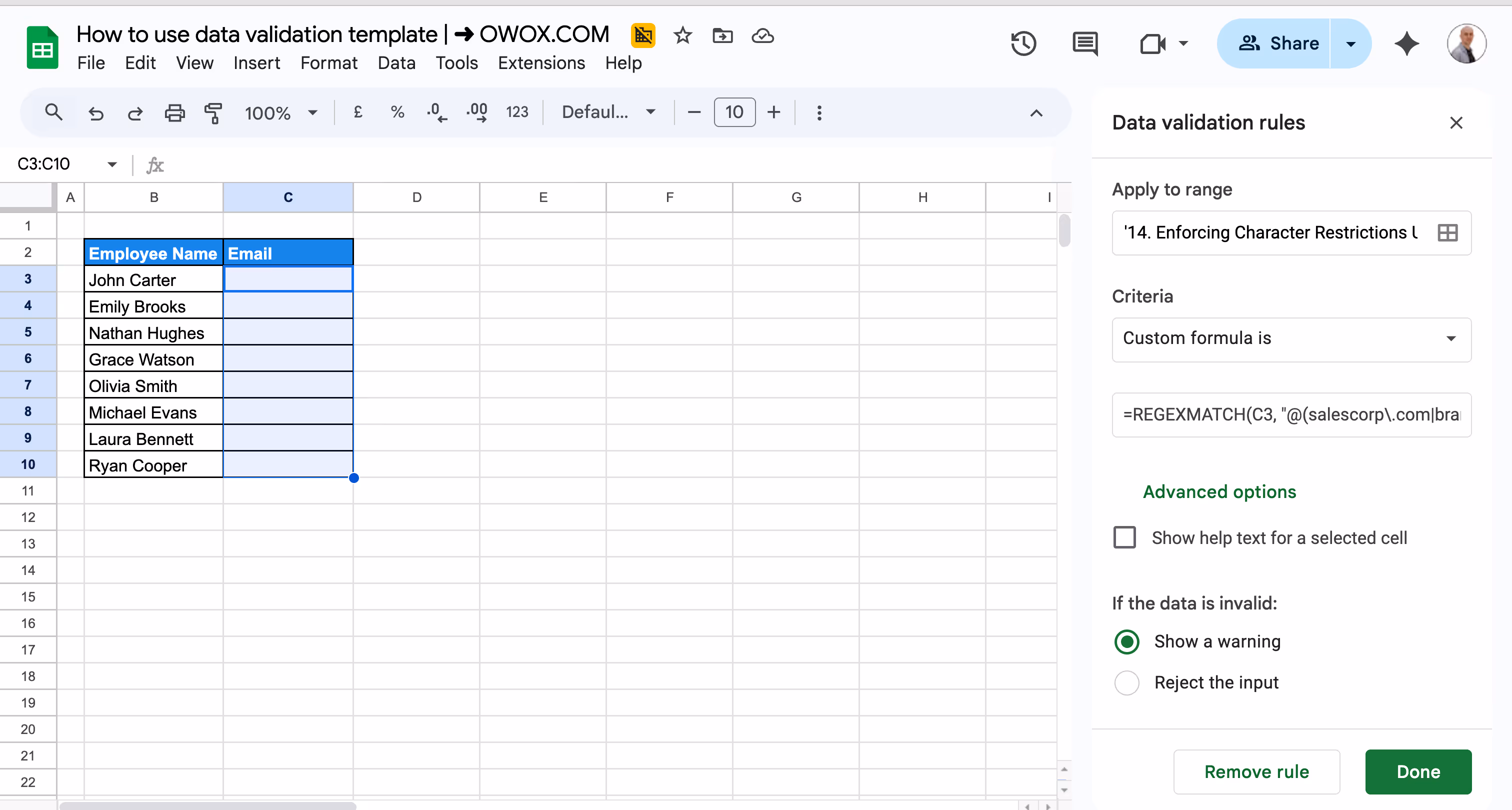 Google Sheets data validation rule using REGEXMATCH to allow only email addresses from a specific domain. i-border