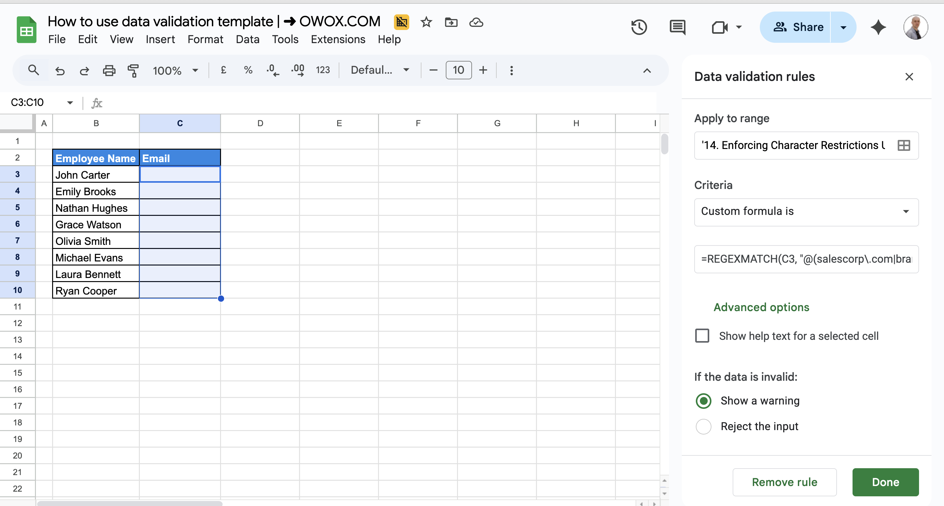 Google Sheets data validation rule using REGEXMATCH to allow only email addresses from a specific domain. i-border