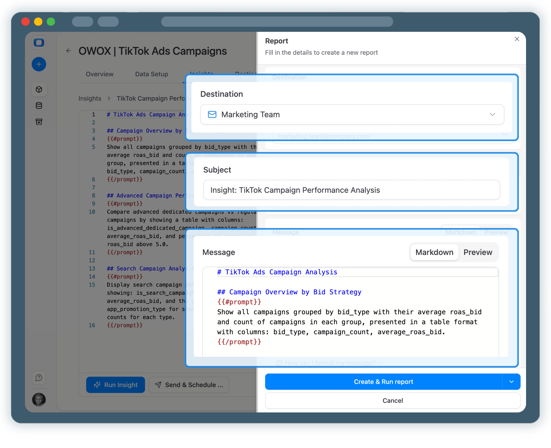 Step 5: Use TikTok Ads Data Across BI Tools & AI Insights