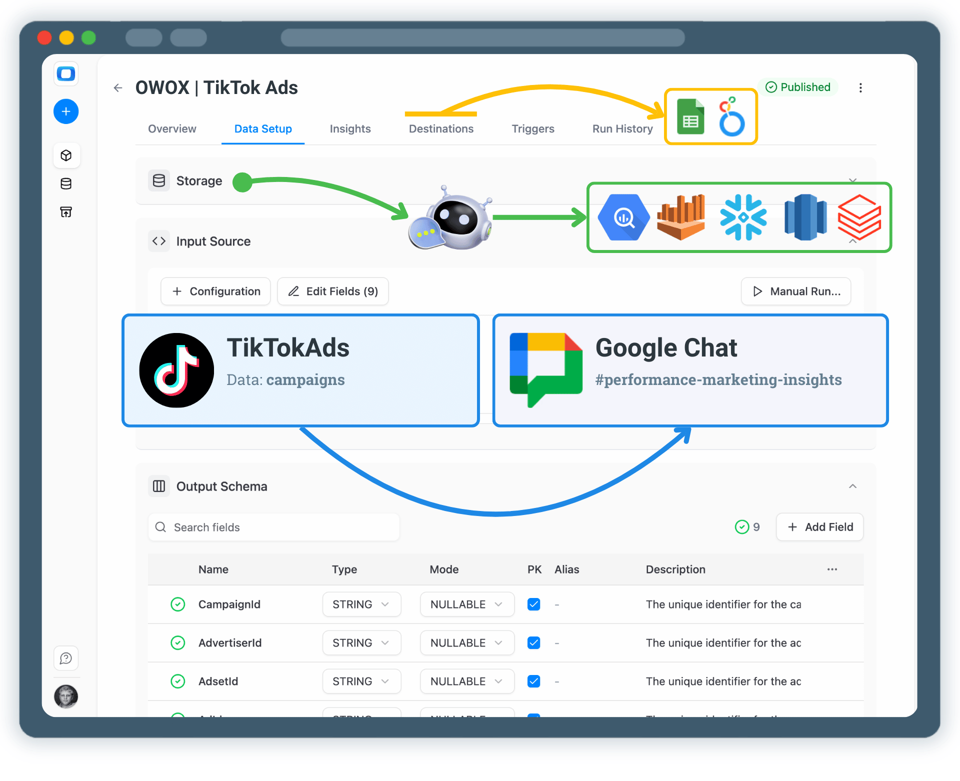 Get TikTok Ads Insights Delivered to Google Chat