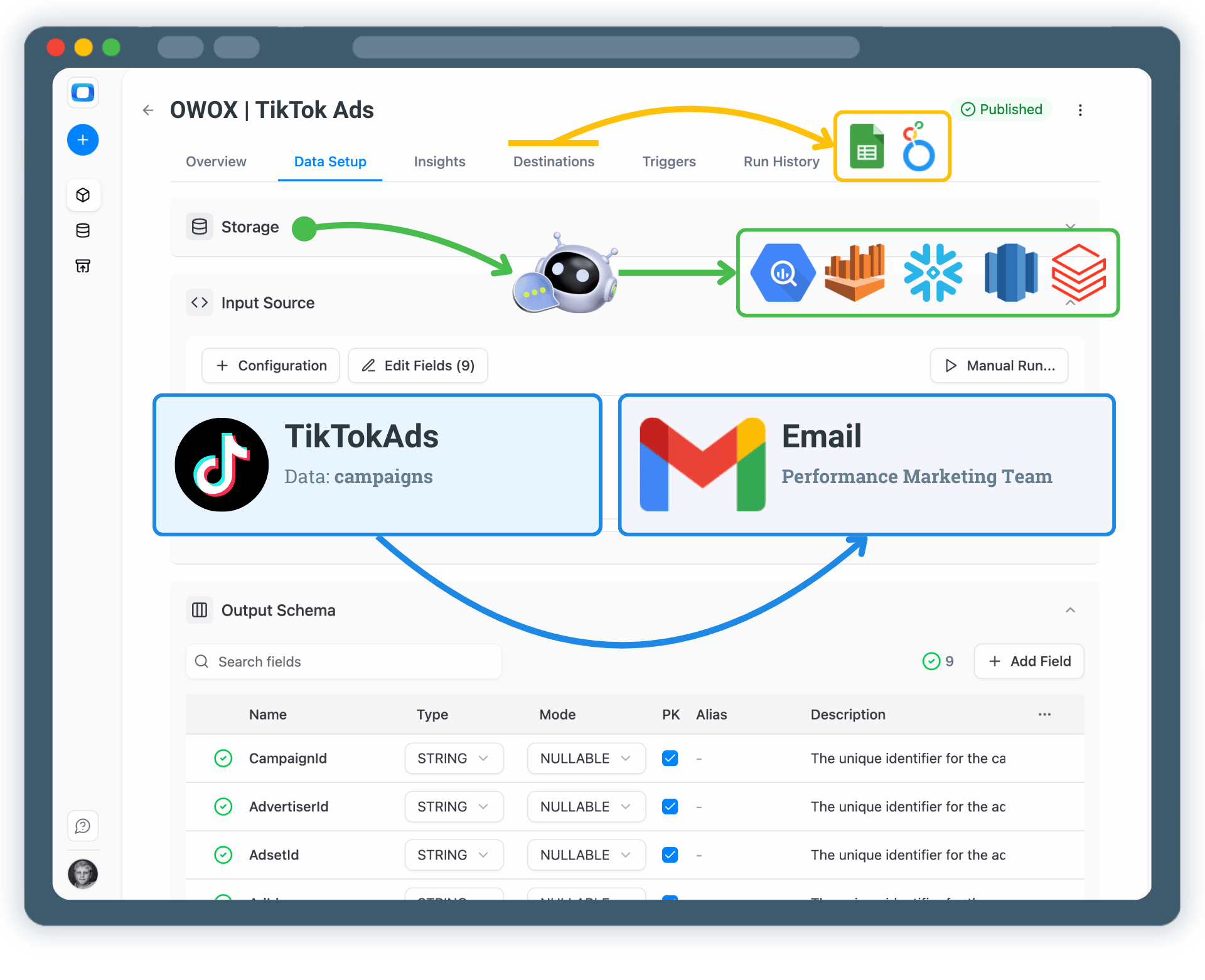 Get TikTok Ads Insights Delivered by Email