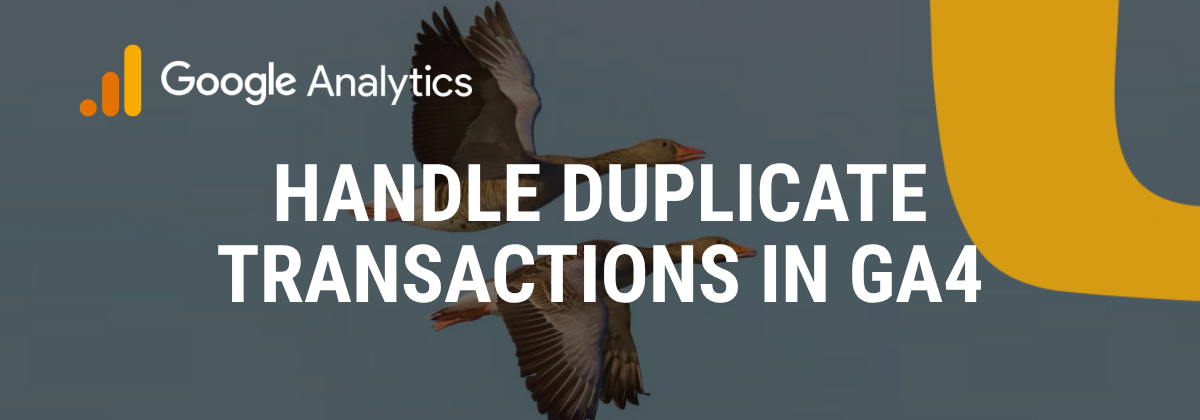 Definition of Duplicate Transactions in the context of analytics. i-radius
