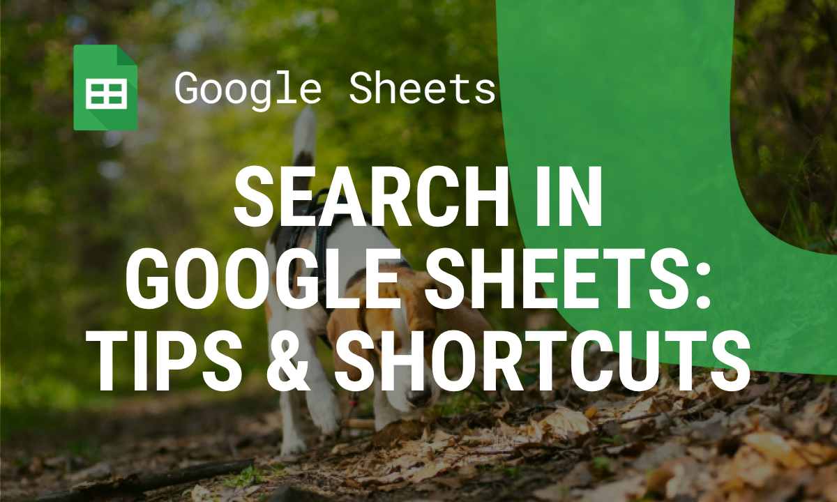 How to Search in Google Sheets: Tips and Shortcuts