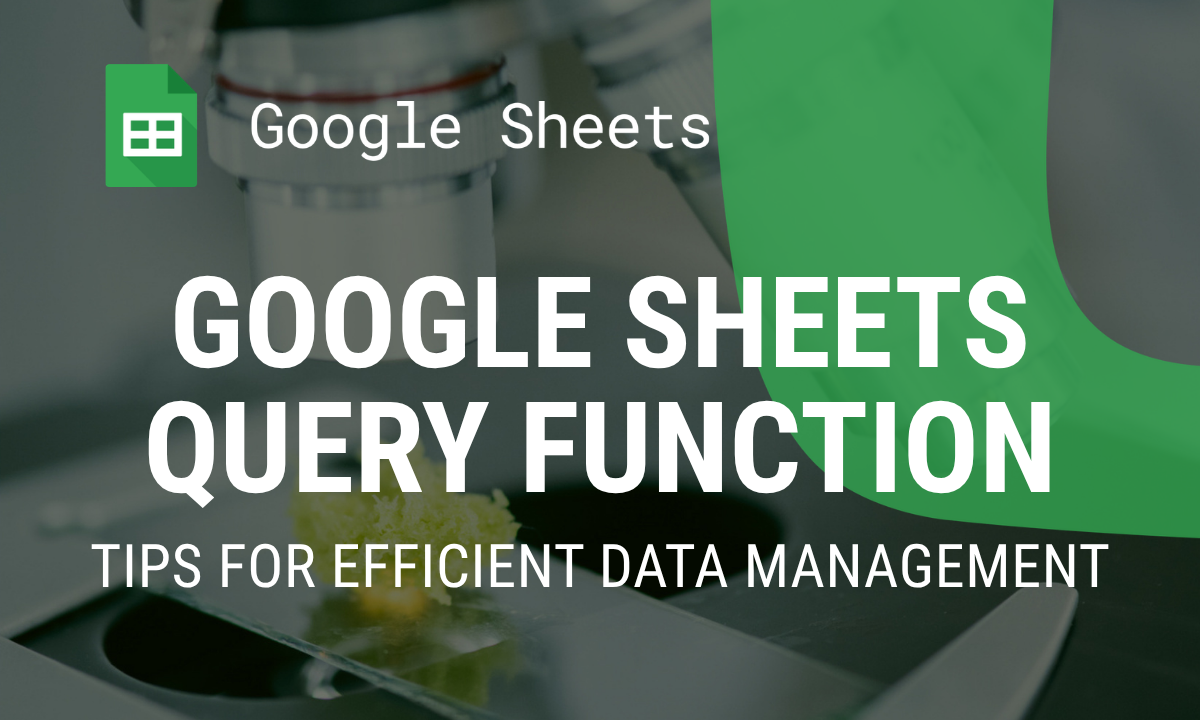 Google Sheets Query Function: Tips for Efficient Data Management
