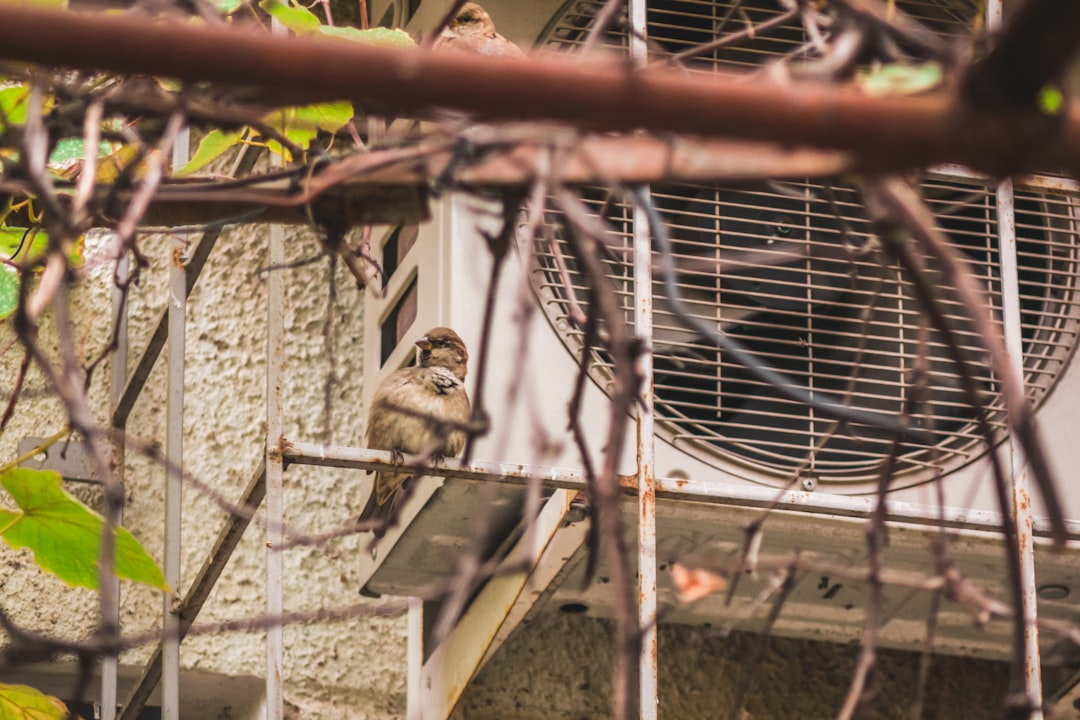 Spring AC and HVAC Maintenance for Wenatchee Valley: Top Guide