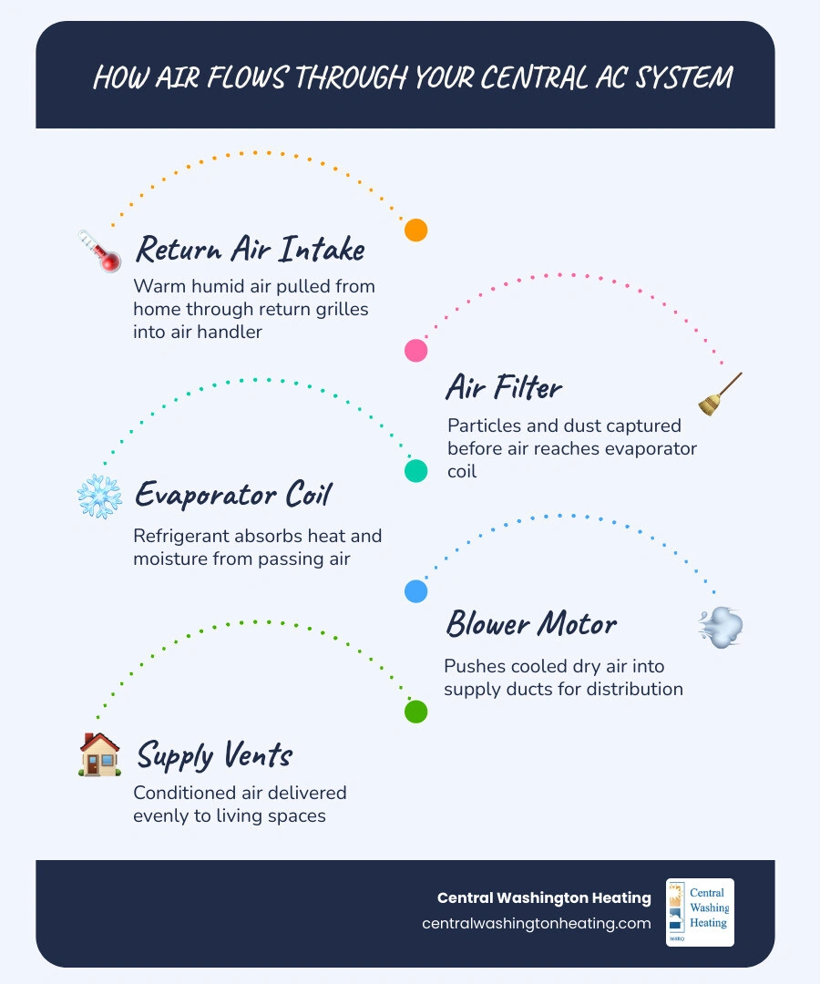 Infographic showing how air flows through a central AC system from return vent through filter evaporator coil and supply