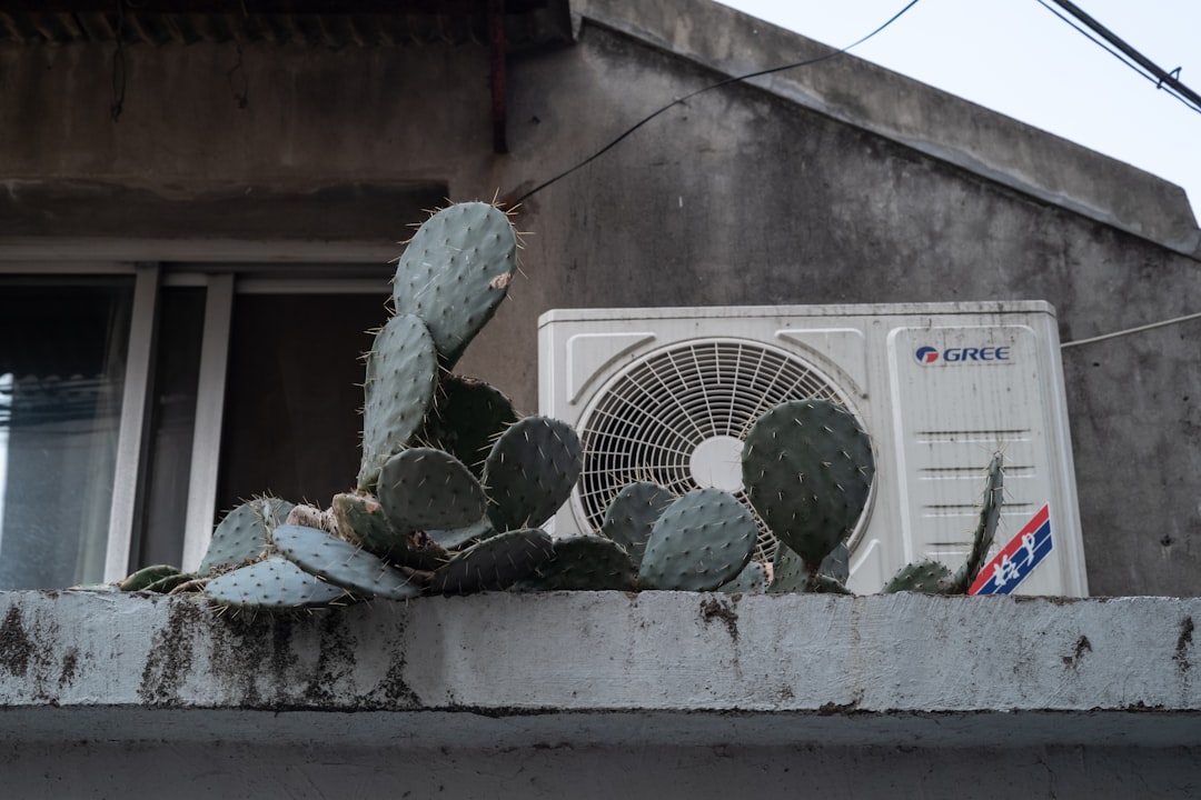 Why Your Wallet Loves Regular AC Maintenance More Than You Do