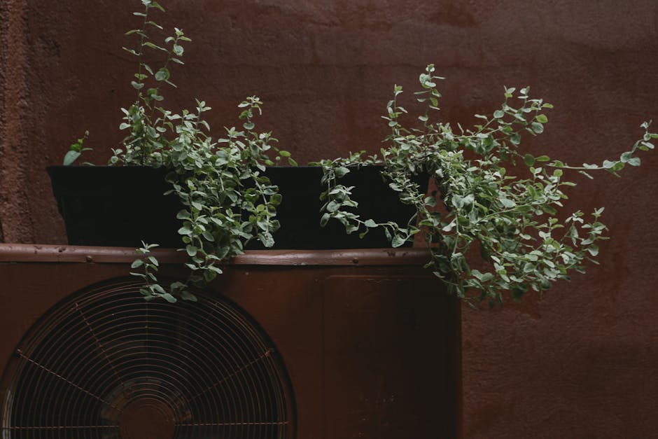 How to Change Your AC Filter in Texas: Key Frequency Tips