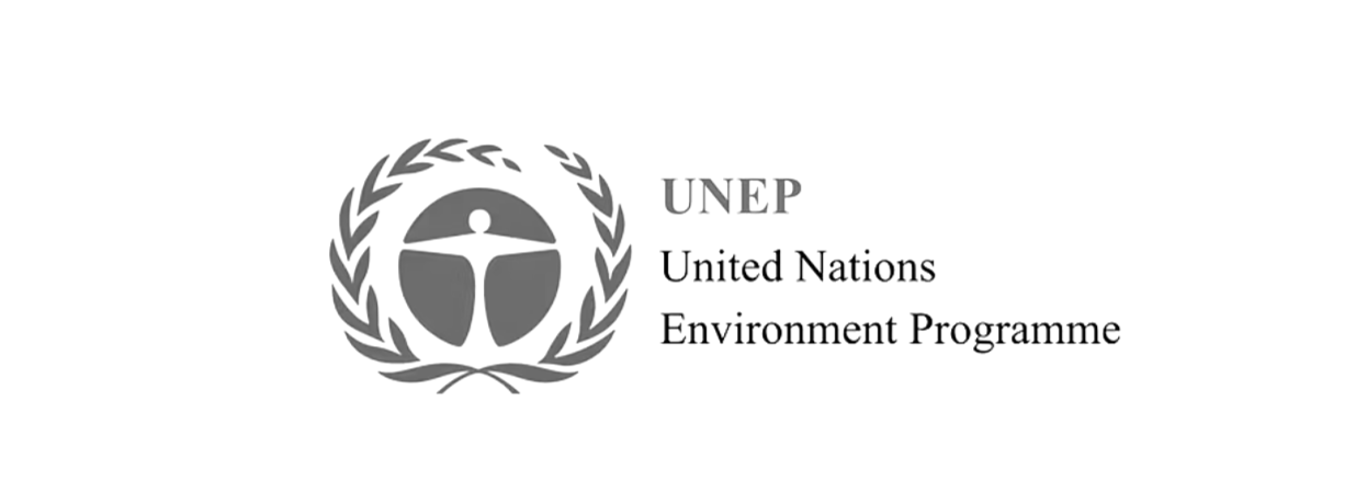 Women Funding The World logo