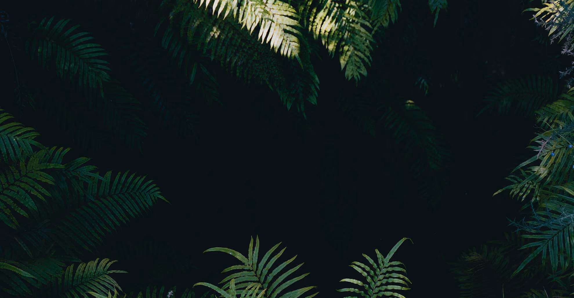 Plants background