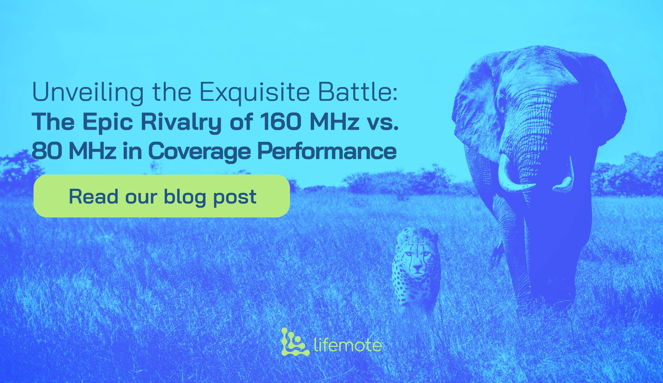 alt="Blog cover for a comparison of 160 MHz vs. 80 MHz bandwidth in Wi-Fi coverage performance"