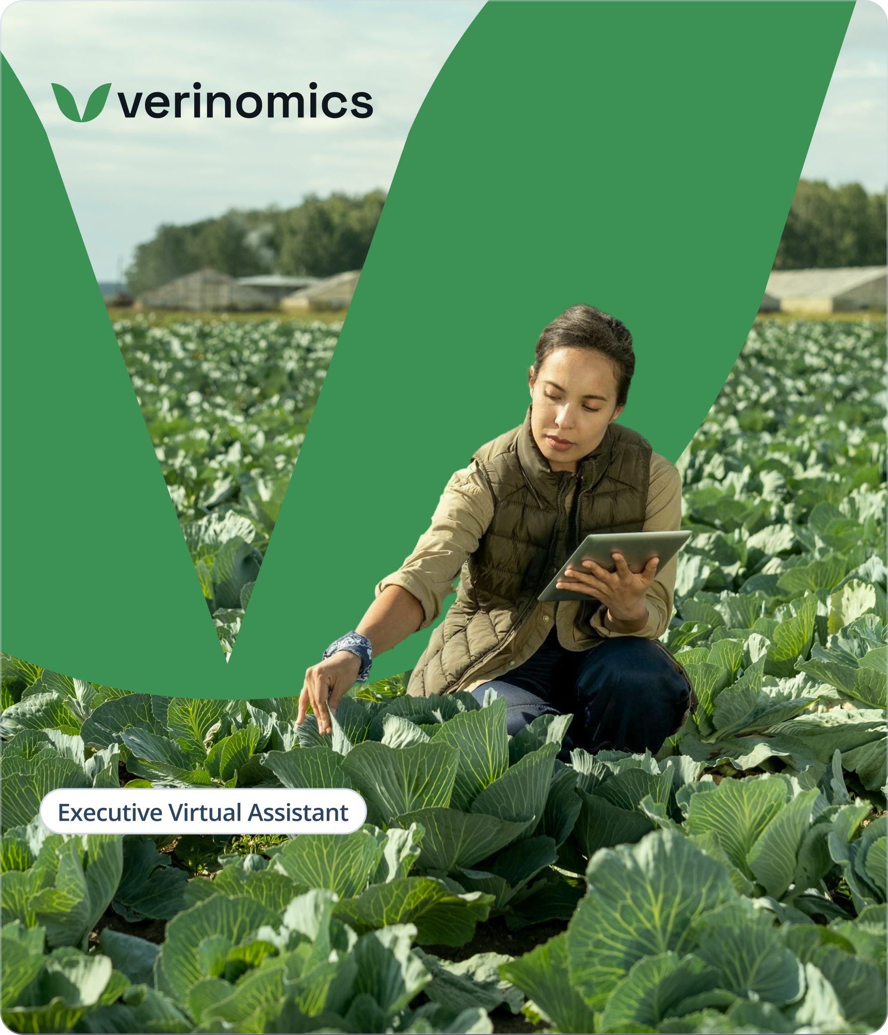 Verinomics logo with woman inspecting cabbage crops using a tablet in field