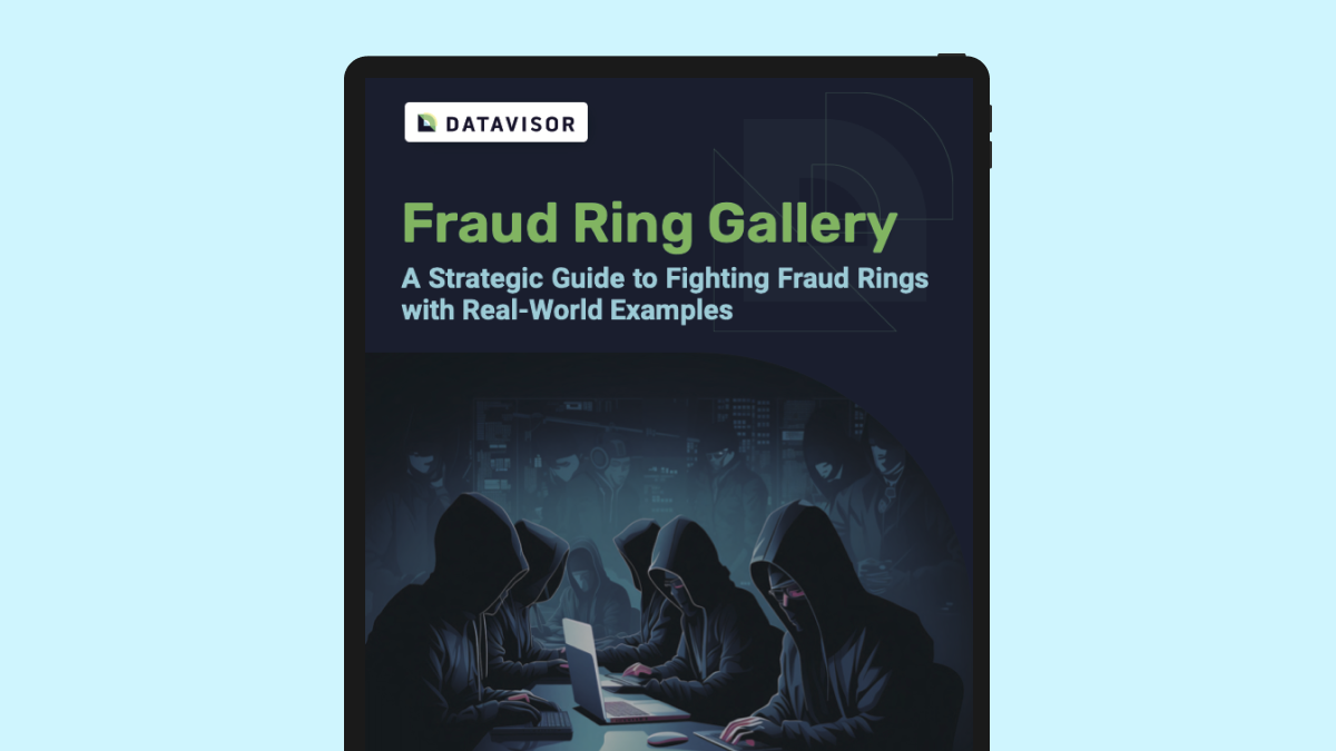 Fraud Ring Gallery|Fraud Ring Gallery Ebook|2024 Fraud Ring Gallery Ebook|