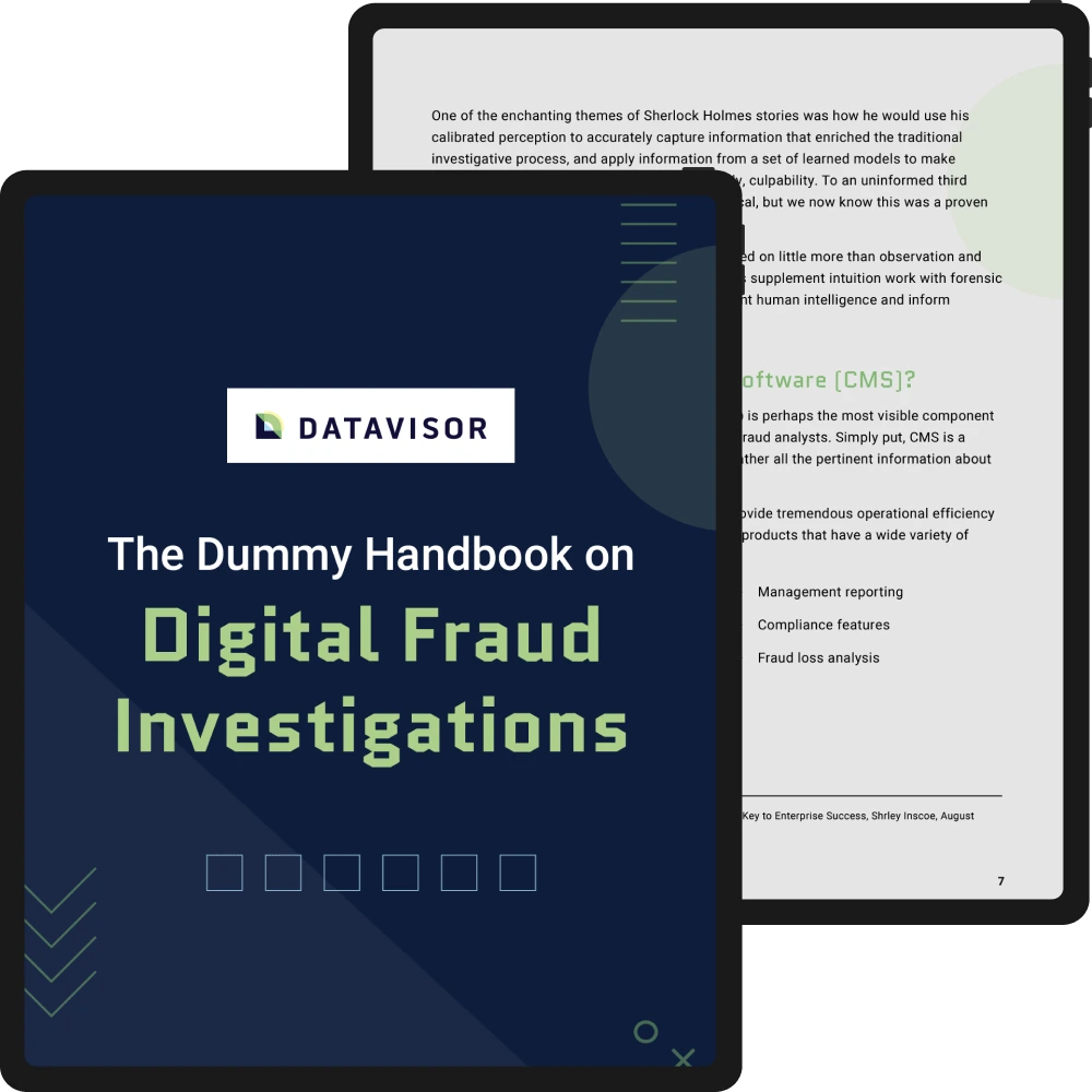 digital fraud investigations ebook preview