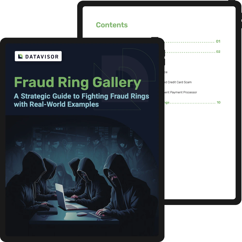 Fraud Ring Gallery|Fraud Ring Gallery Ebook|2024 Fraud Ring Gallery Ebook|