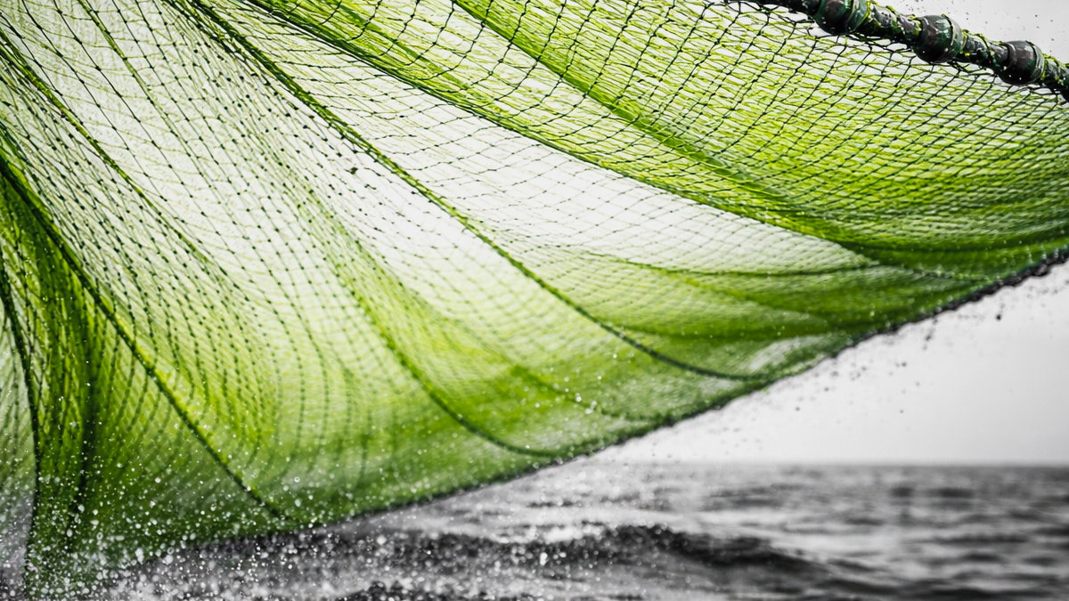 Nacha is casting a wider net in 2026, expanding the scope of institutional liability to include authorized "False Pretenses" and Credit-Push fraud. Large green net