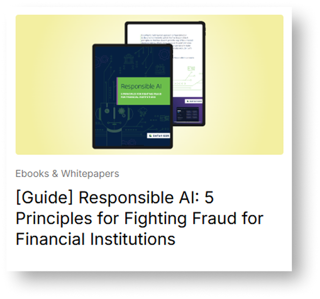 Responsible AI: 5 Principles for Fighting Fraud for Financial Institutions|Responsible AI