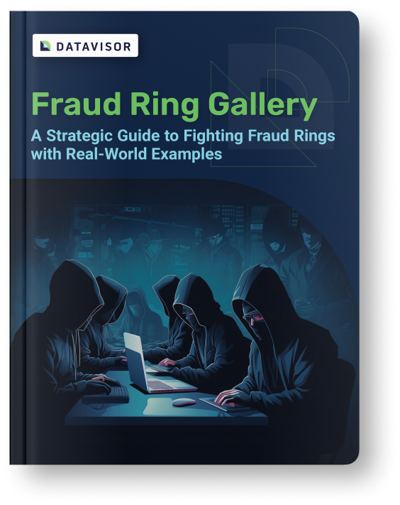 Fraud Ring Gallery|Fraud Ring Gallery Ebook|2024 Fraud Ring Gallery Ebook|