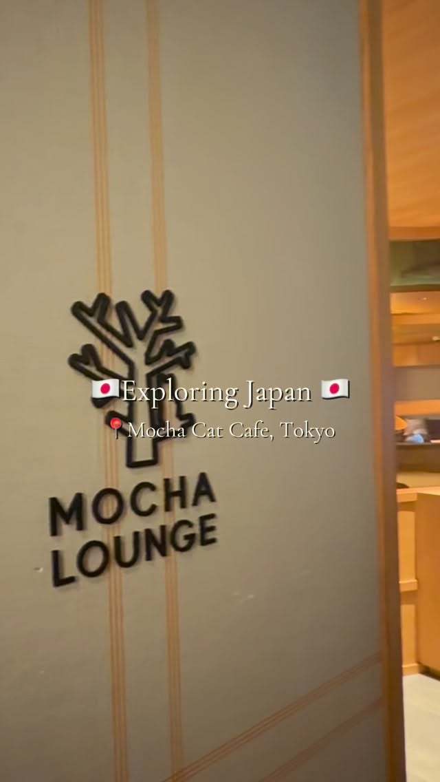 a relaxing coffee stop for cat and pet lovers alike…don’t miss hanging with these cats when in Japan 🐈‍⬛ 🐈 🇯🇵🤍 

#catcafe #japan #tokyo #tokyotrip #cats #tokyocat #tokyocatcafe