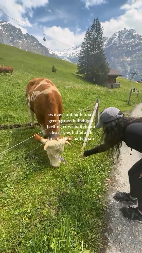 like, are we dreaming?! 🐮🇨🇭 #cows #switzerland #grindelwald #switzerlandtravel #europe