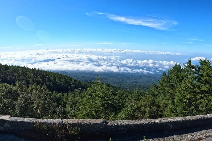 View on Mount Fuji