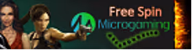 FreeSpinMicrogaming.com