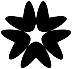 Jana Podgajewska avatar icon