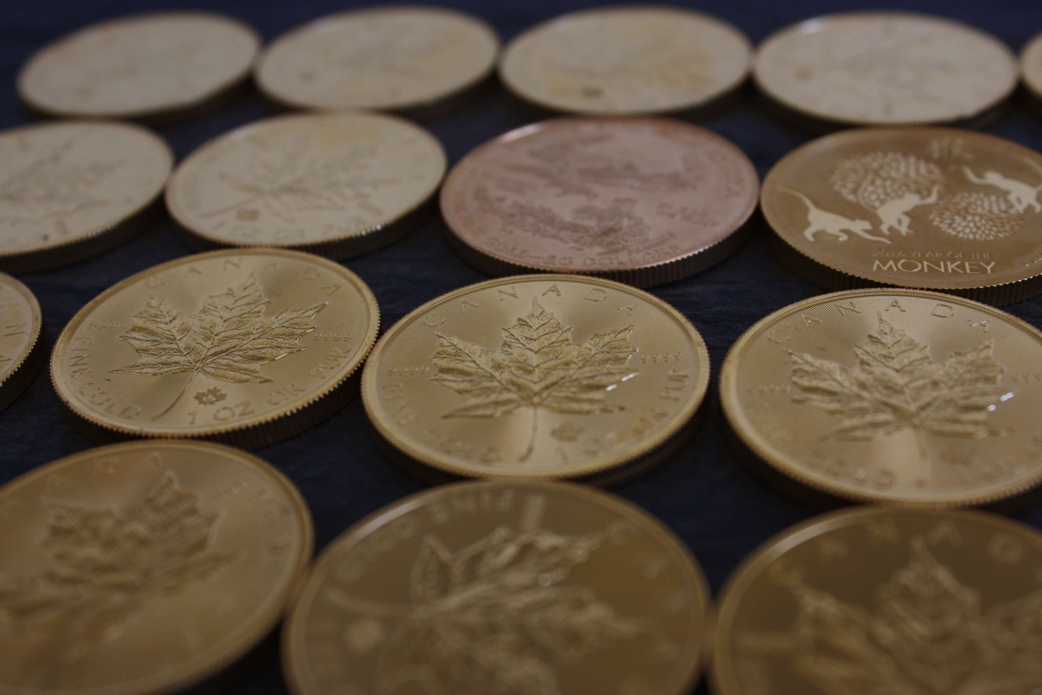 Close-up of several Canadian gold coins featuring maple leaf designs on a dark surface updated.