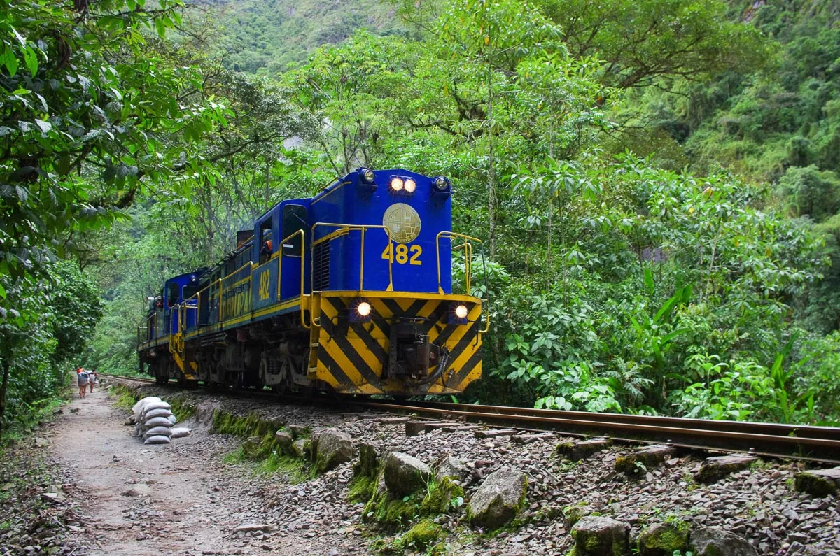 Train PeruRail sur la voie ferrée en pleine végétation, vers Aguas Calientes
