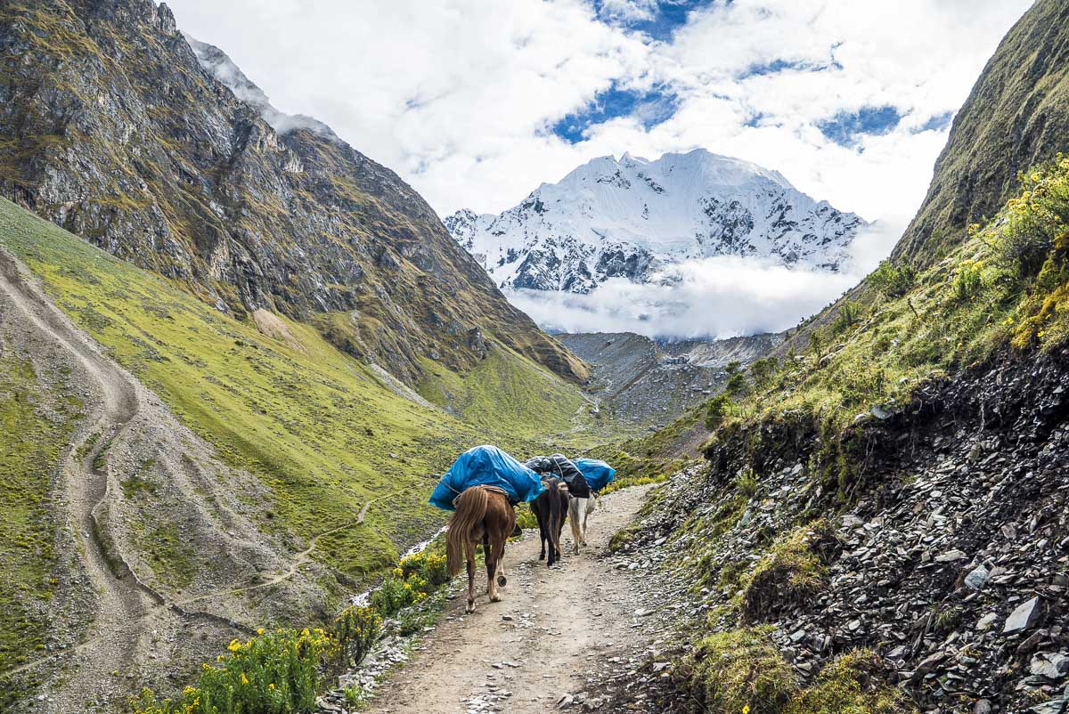 Trek de Salkantay