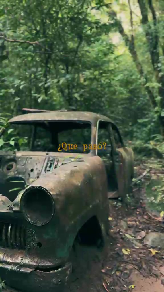 Un carro antiguo rodeado por el bosque en el Sendero del Carro Viejo, capturado del video de esta edición.