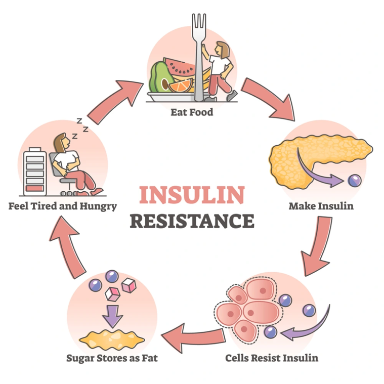 A diagram of insulin resistanceAI-generated content may be incorrect.
