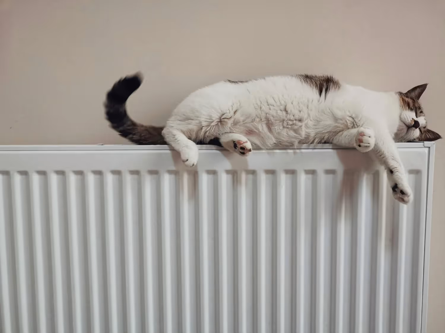 Stay Warm and Cozy: Essential Heating Maintenance Tips for Winter Comfort