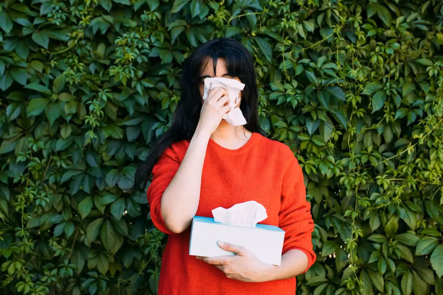 Air Filtration Systems: Essential for Allergy Relief