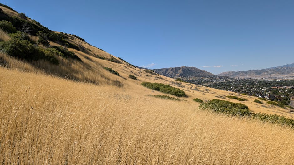 Don't Sweat It: Professional AC Maintenance in Draper UT