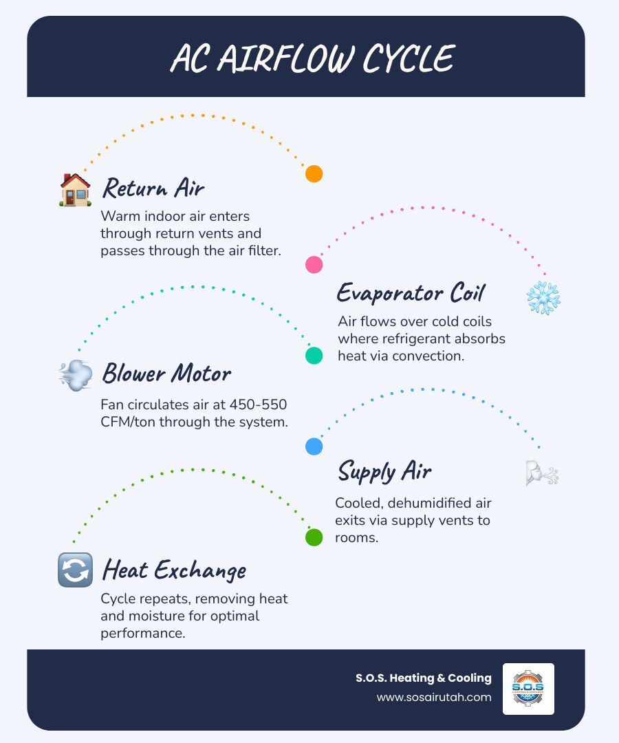 infographic showing the AC airflow cycle from return vent through filter coil blower and supply vents - how airflow affects infographic showing the AC airflow cycle from return vent through filter coil blower and supply vents - how airflow affects