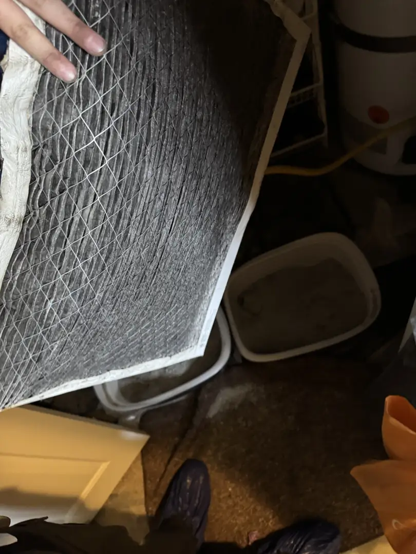 The Ultimate Schedule for Changing Filters in High Dust Areas