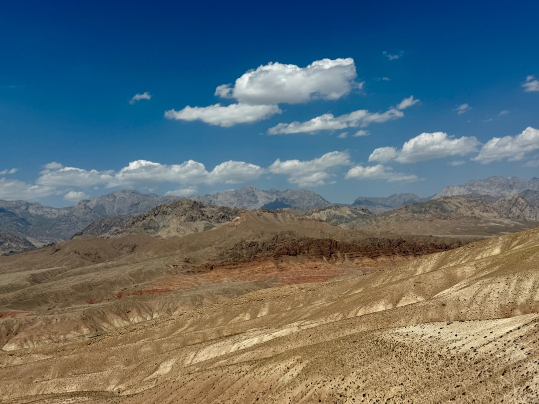 Don't Let the Desert Dry You Out: Pro Tips for Home Humidity