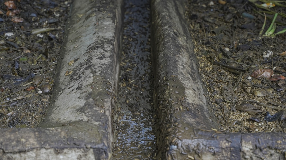 Why Utah Sewer Lines Break and How to Fix Them