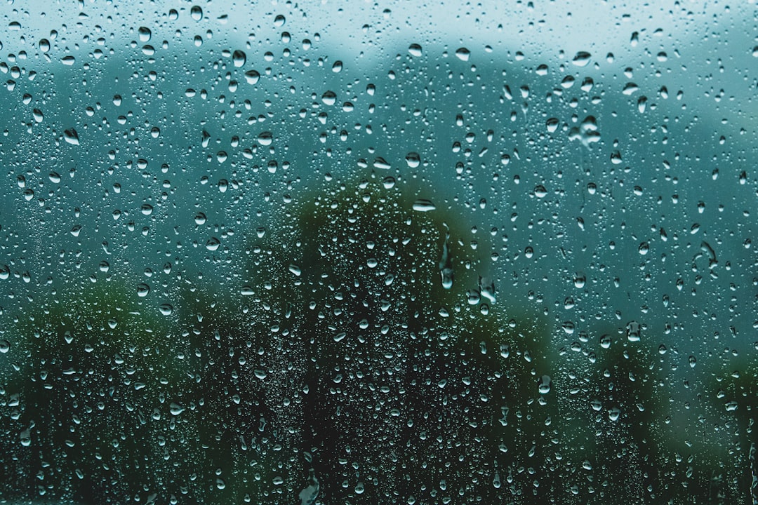 Why Your House and Lungs Hate Extreme Humidity