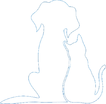 Un chien et un chat côte à côte.