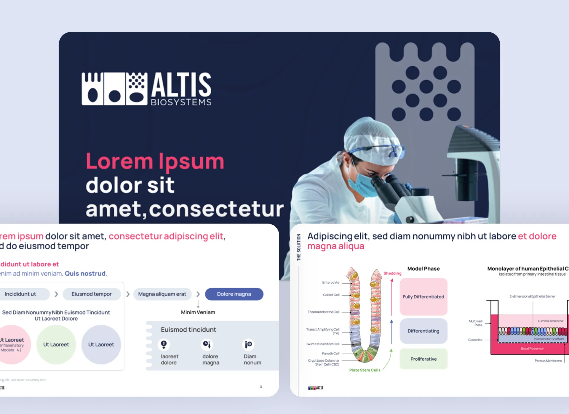 Series A pitch deck portfolio card for Altis Biosystems, featuring biotech pitch deck visuals for intestinal cell research and scientific presentation design
