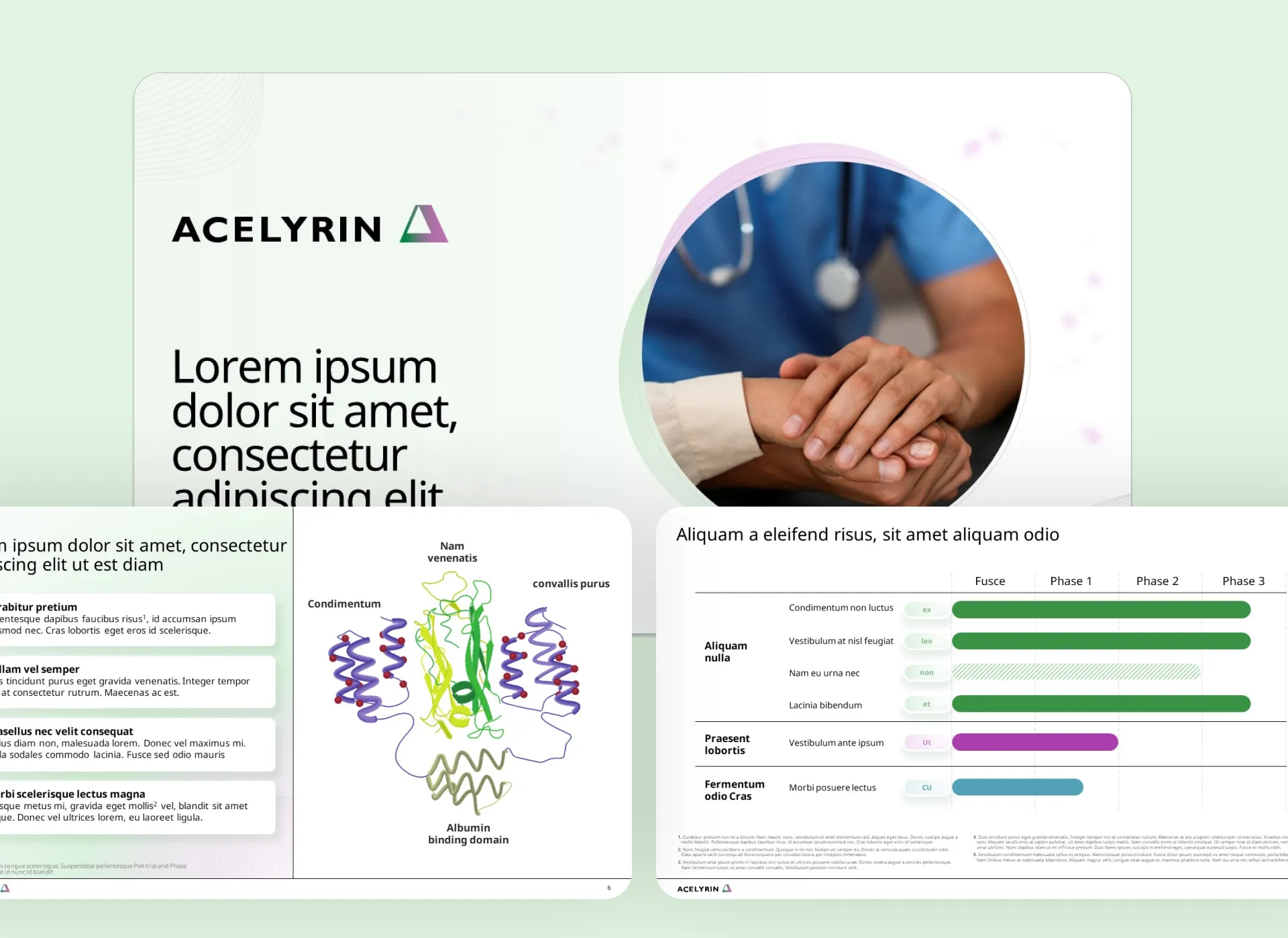 Corporate overview deck portfolio card for Acelyrin, featuring biotech investor presentation visuals and clinical data slides