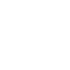 BT
